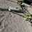 #200-•-tow-dolly-(has-certificate)-image-1