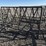 new/unused-steel-haysaver-feeder-image-1