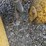 2017-caterpillar-950m-image-11