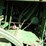 john-deere-4020-image-21