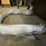#2586-•-pontoon-ton-bar-(pr3)-image-5