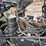 2005-kenworth-t800-image-20