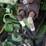 john-deere-4020-image-12