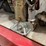 #2584-•-jacks-and-supports-assortment-(cw)-image-15