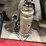 #2584-•-jacks-and-supports-assortment-(cw)-image-17