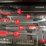 #2553-•-new-tool-box-with-439-piece-set-(cw)-image-25
