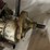 #2585-•-(2)-vintage-chainsaws-and-ice-auger-motor-(cw)-image-22
