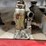 #2584-•-jacks-and-supports-assortment-(cw)-image-12