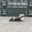 2023-bobcat-mt100-image-1