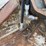 bobcat-4in1-image-5