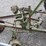 john-deere-b-image-11