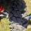 #23790-•-2020-can-am-commander-800r-image-47