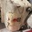 #2585-•-(2)-vintage-chainsaws-and-ice-auger-motor-(cw)-image-16