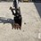 2023-bobcat-e26-image-11