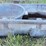 small-rubbermaid-stock-tank-image-1