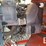 2024-kubota-bx23s-image-19