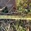 34"-backhoe-tooth-bucket,-38mm-pin-hole-image-5