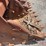 hensley-48"-tooth-bucket-w/-side-cutters-image-5