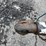 #1488-•-2018-pj-trailer-utility-trailer-(has-wi-title)-(of)-image-14