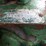 john-deere-b-image-26