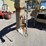 #158-•-2013-big-t-gooseneck-trailer-(has-nm-title)-image-11
