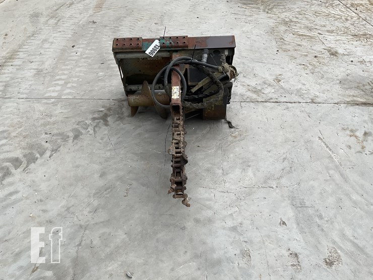 bobcat-image-4