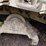 2023-link-belt-3740tl-image-38