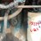 #1480-•-1999-international-(has-wi-title)-(of)-image-151
