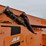 jlg-8042-image-10