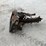 bobcat-image-3