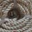 #2559-•-new-1/2"-thick,-150'-of-braided-rope-(cw)-image-5