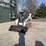 2020-bobcat-s570-image-8