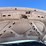 2005-ford-f250-sd-image-89