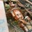 #23987-•-inop-1979-international-f-2554-t/a-single-cab-truck-tractor-cf255jha29827-image-29