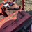 #1811-•-ford-5'-3-point-brush-mower-image-8