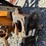 #41935-•-pto-ditcher-inv#-41935-image-10
