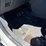 2010-ford-cargo-image-26