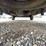 2014-ford-cargo-image-23