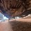 #41744-•-48'-t/a-steel-chip-trailer-image-19