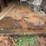 #23989-•-~23'x~8"-roll-off-dumpster-container-image-19