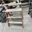 #8602-•-(2)-werner-step-ladders-image-5