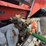 kubota-m8540-image-32