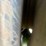 #23993-•-fast-44'-t/a-aluminum-chip-trailer-image-14