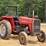 massey-ferguson-231-image-1