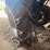 massey-ferguson-1643-image-5