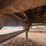 #41744-•-48'-t/a-steel-chip-trailer-image-20