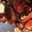 international-1066-image-38