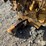 caterpillar-3406-image-19