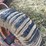 #1811-•-ford-5'-3-point-brush-mower-image-15