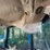 john-deere-5093e-image-37